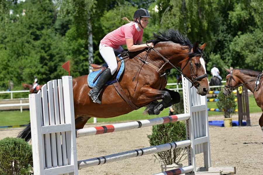 Skoková soutěž stupně „ZL“ – otevřená soutěž
