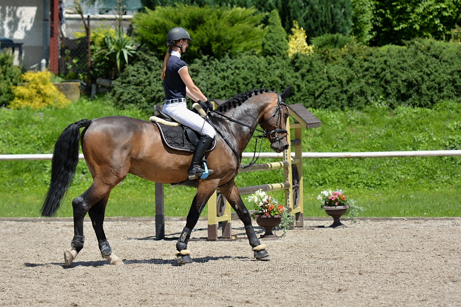 Skoková soutěž stupně „ZL“ – otevřená soutěž