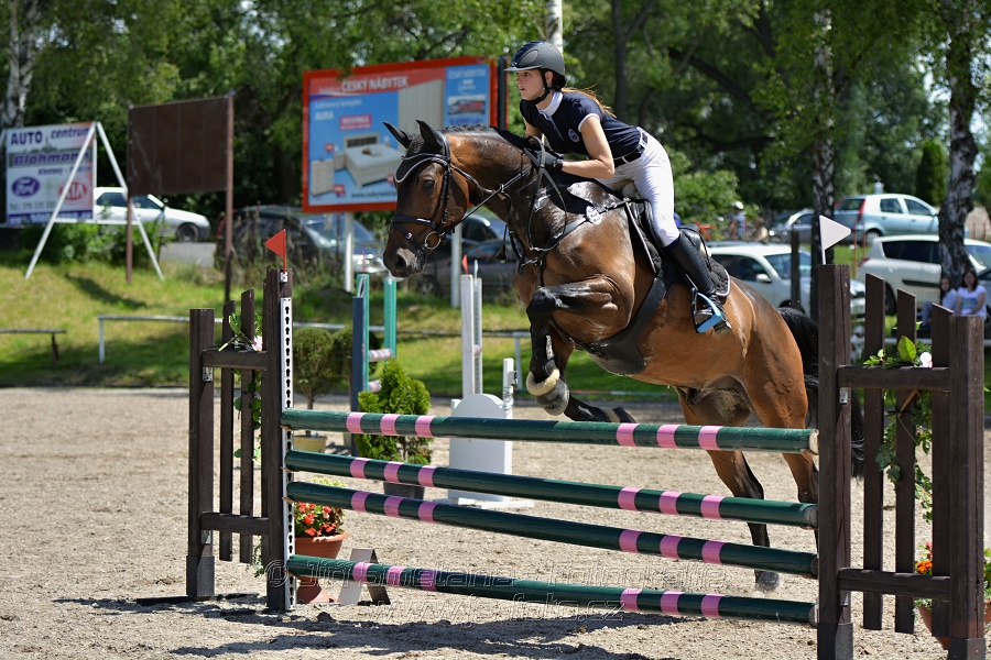 Skoková soutěž stupně „ZL“ – otevřená soutěž