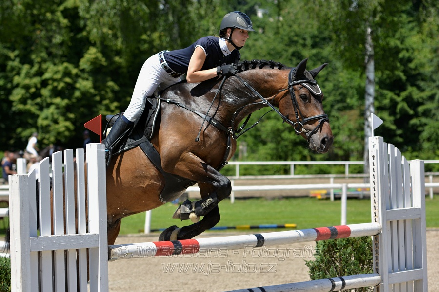 Skoková soutěž stupně „ZL“ – otevřená soutěž