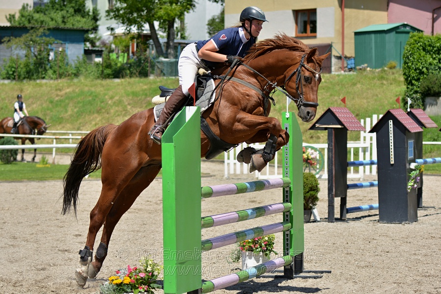 Skoková soutěž stupně „ZL“ – otevřená soutěž