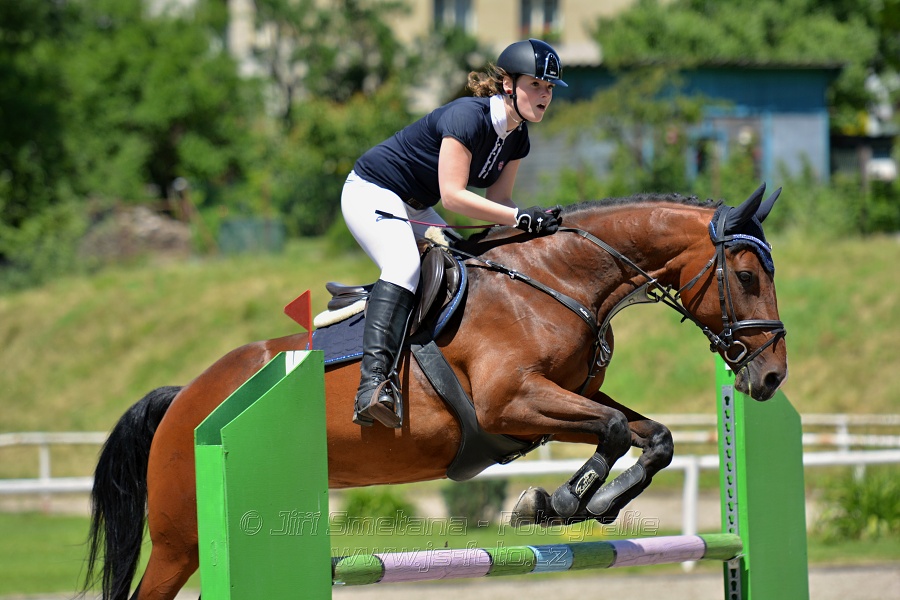 Skoková soutěž stupně „ZL“ – otevřená soutěž