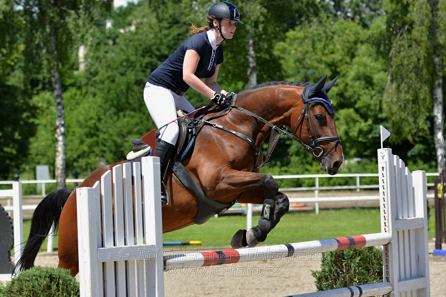 Skoková soutěž stupně „ZL“ – otevřená soutěž