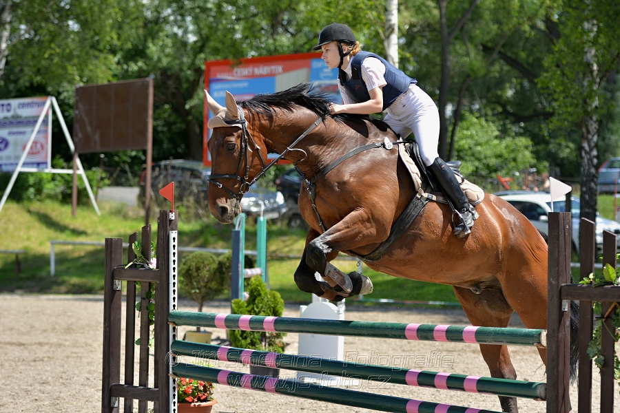 Skoková soutěž stupně „ZL“ – otevřená soutěž