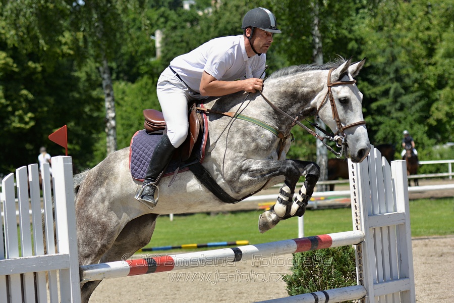 Skoková soutěž stupně „ZL“ – otevřená soutěž