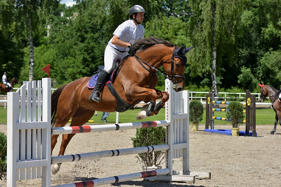 Skoková soutěž stupně „ZL“ – otevřená soutěž