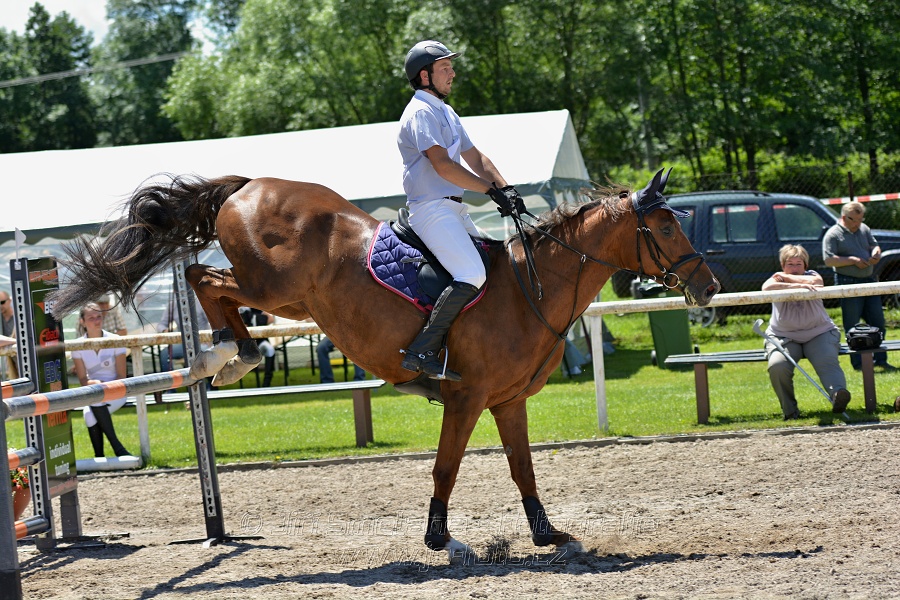 Skoková soutěž stupně „ZL“ – otevřená soutěž