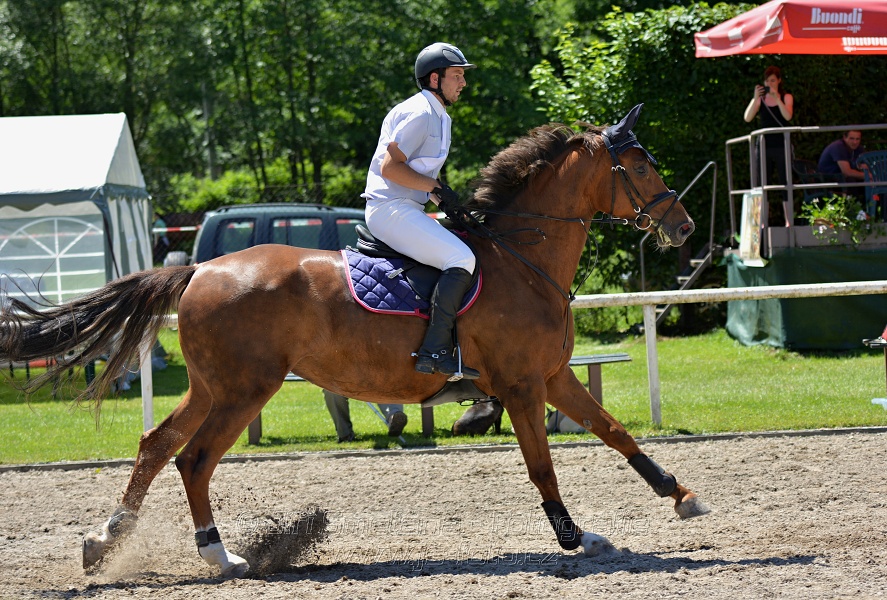 Skoková soutěž stupně „ZL“ – otevřená soutěž