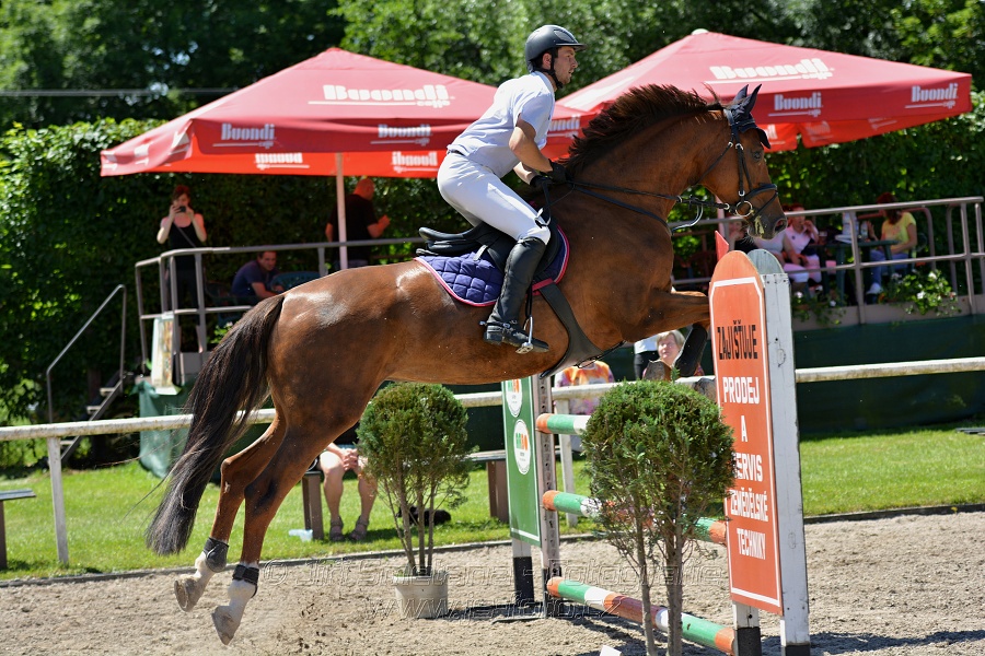 Skoková soutěž stupně „ZL“ – otevřená soutěž