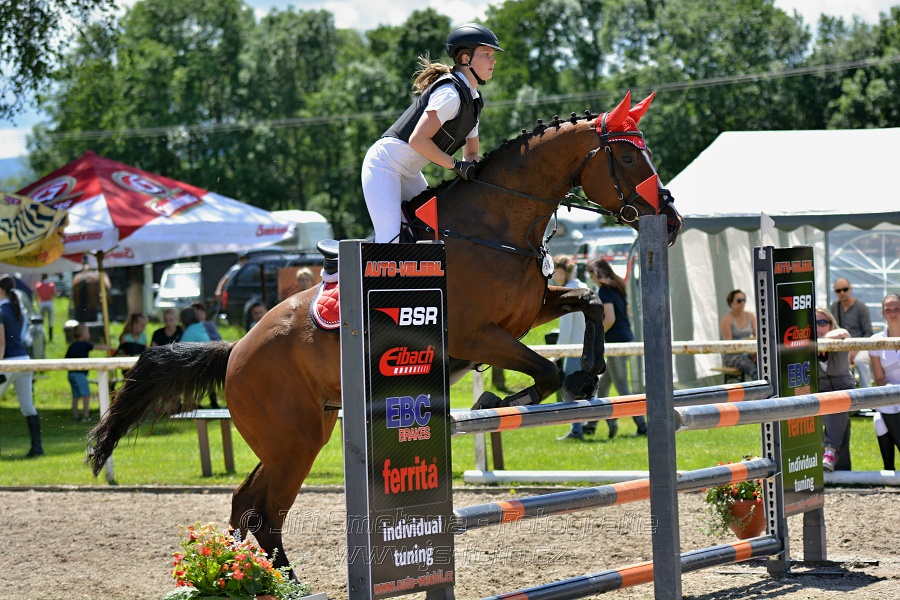 Skoková soutěž stupně „ZL“ – otevřená soutěž