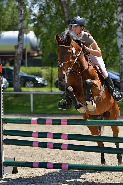 Skoková soutěž stupně „ZL“ – otevřená soutěž