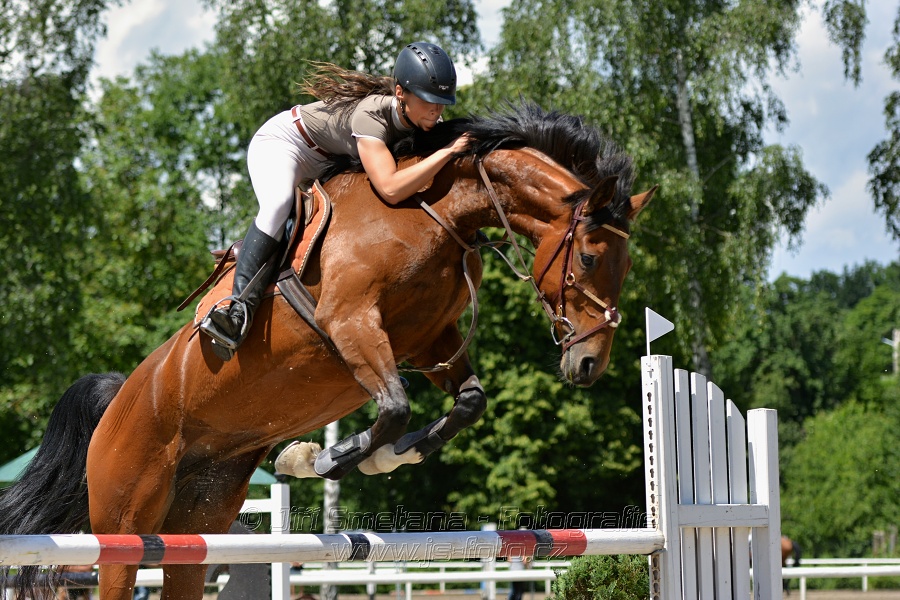Skoková soutěž stupně „ZL“ – otevřená soutěž