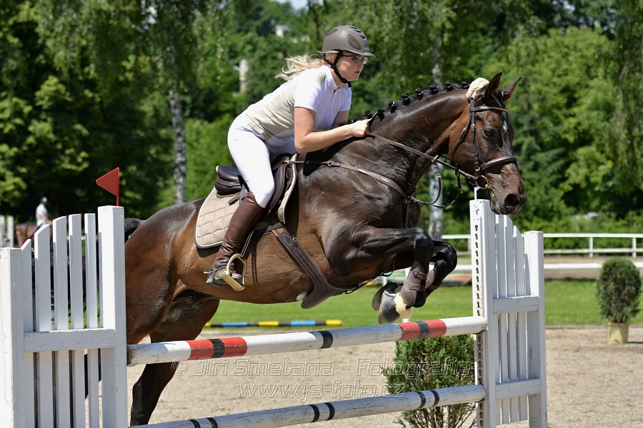 Skoková soutěž stupně „ZL“ – otevřená soutěž