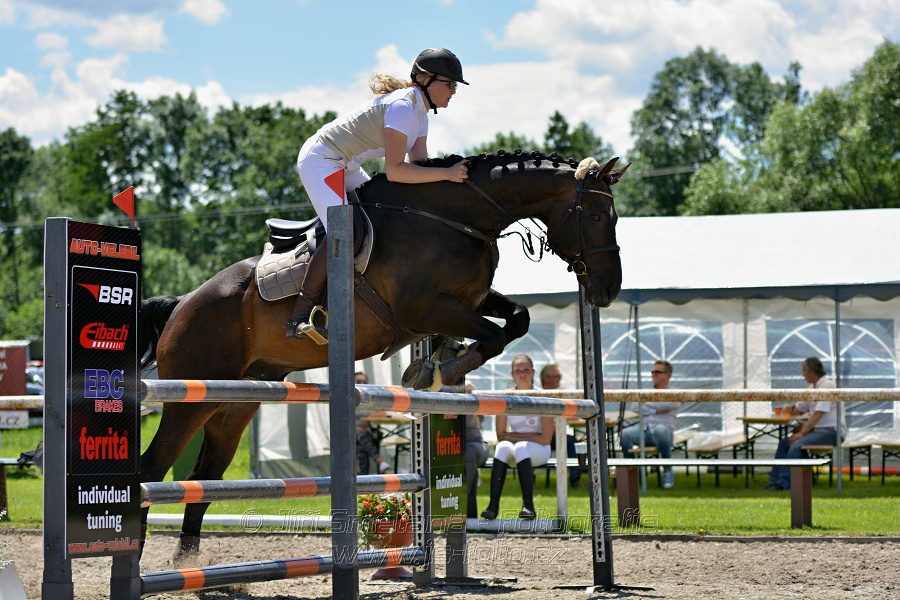 Skoková soutěž stupně „ZL“ – otevřená soutěž
