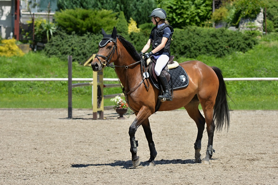 Skoková soutěž stupně „ZL“ – otevřená soutěž