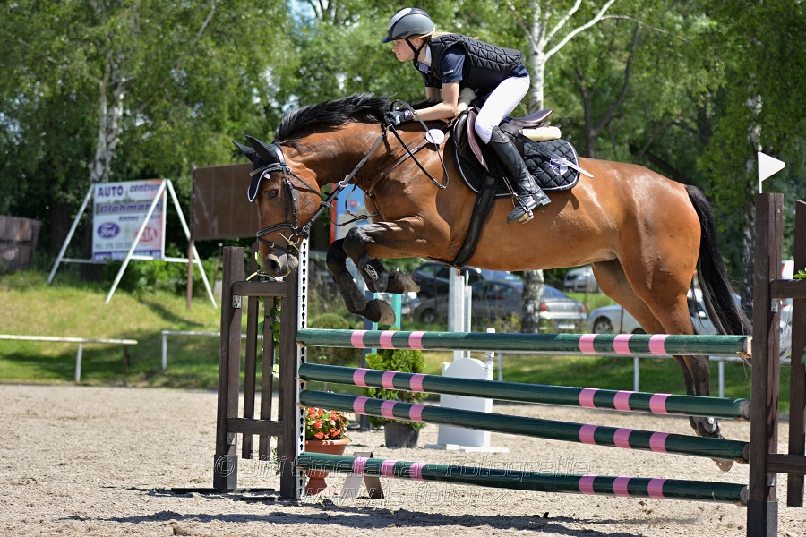 Skoková soutěž stupně „ZL“ – otevřená soutěž