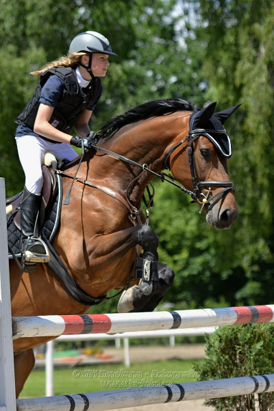 Skoková soutěž stupně „ZL“ – otevřená soutěž