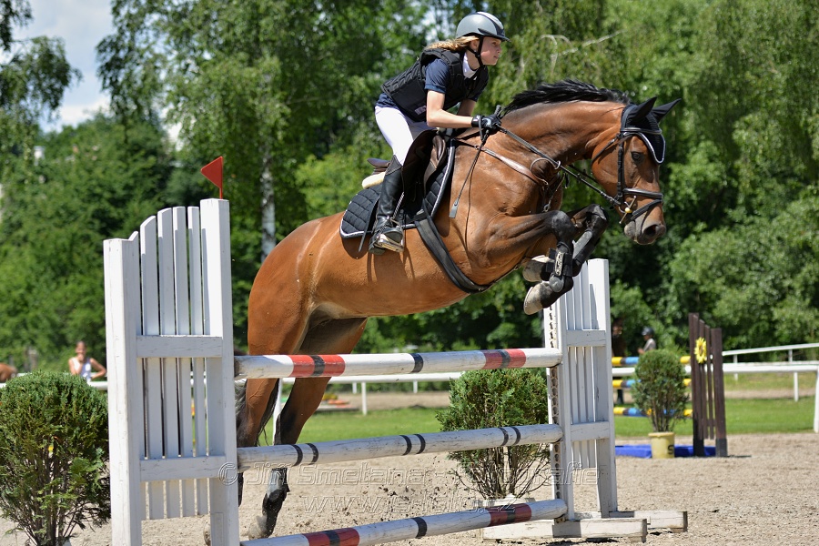 Skoková soutěž stupně „ZL“ – otevřená soutěž