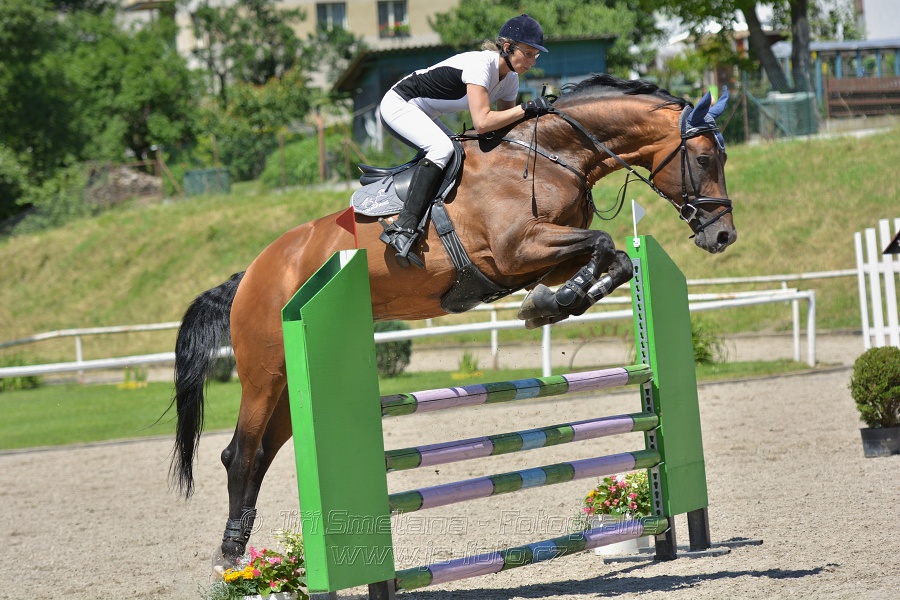 Skoková soutěž stupně „ZL“ – otevřená soutěž