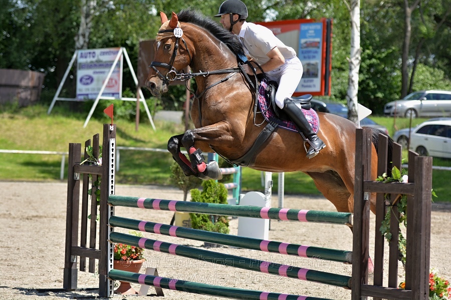 Skoková soutěž stupně „ZL“ – otevřená soutěž