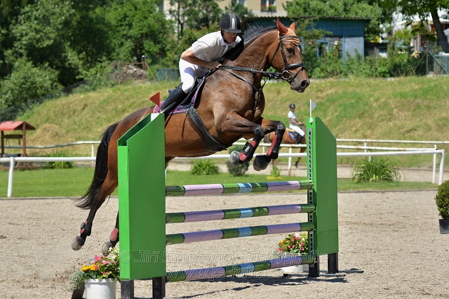 Skoková soutěž stupně „ZL“ – otevřená soutěž