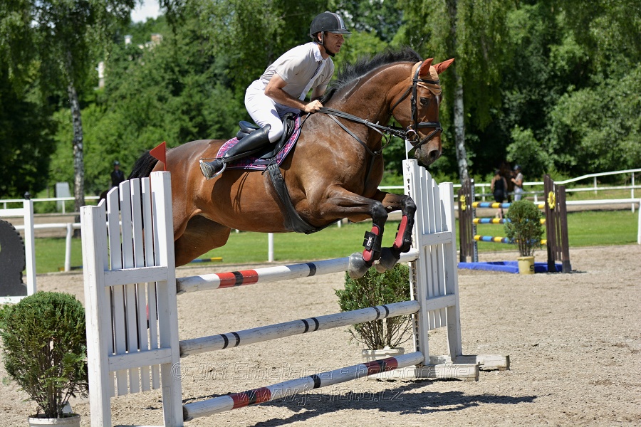 Skoková soutěž stupně „ZL“ – otevřená soutěž