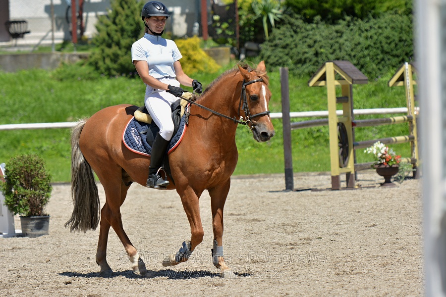Skoková soutěž stupně „ZL“ – otevřená soutěž