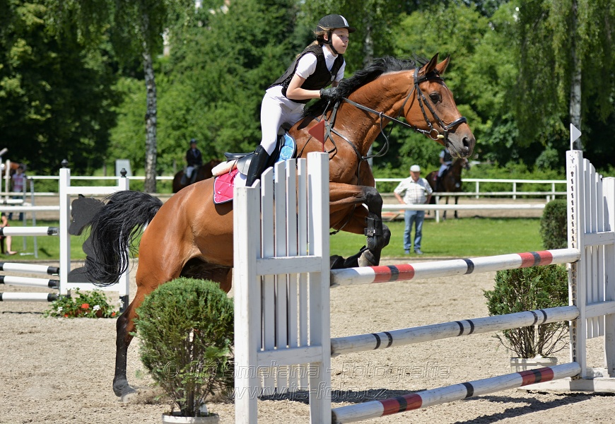 Skoková soutěž stupně „ZL“ – otevřená soutěž