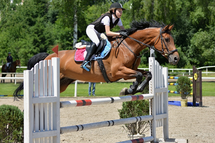 Skoková soutěž stupně „ZL“ – otevřená soutěž