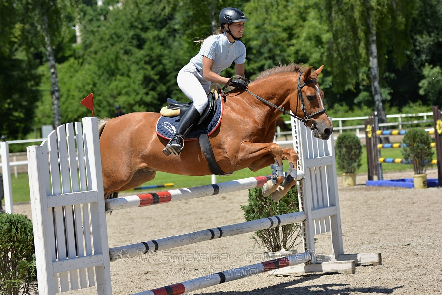 Skoková soutěž stupně „ZL“ – otevřená soutěž