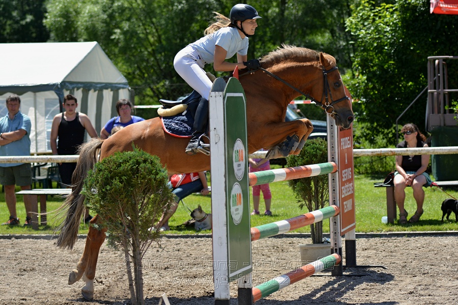 Skoková soutěž stupně „ZL“ – otevřená soutěž
