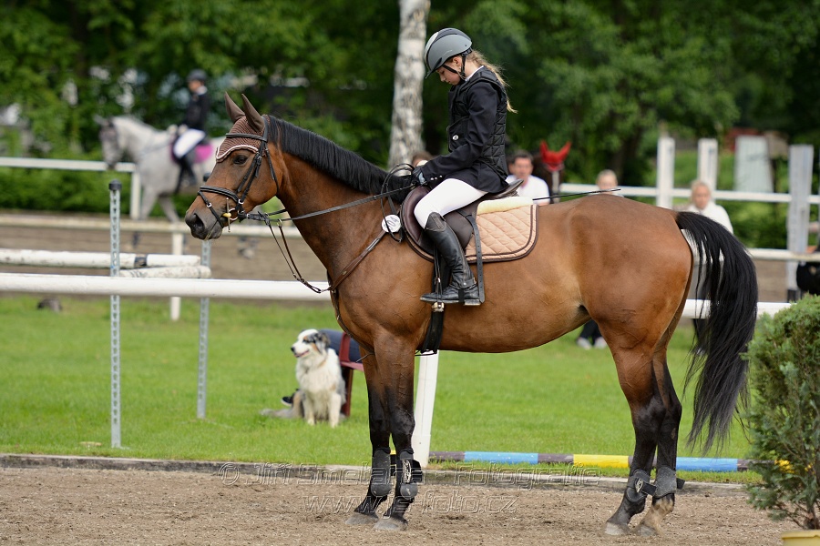 Skoková soutěž stupně „ZL“ na styl, 2. kolo OM- děti