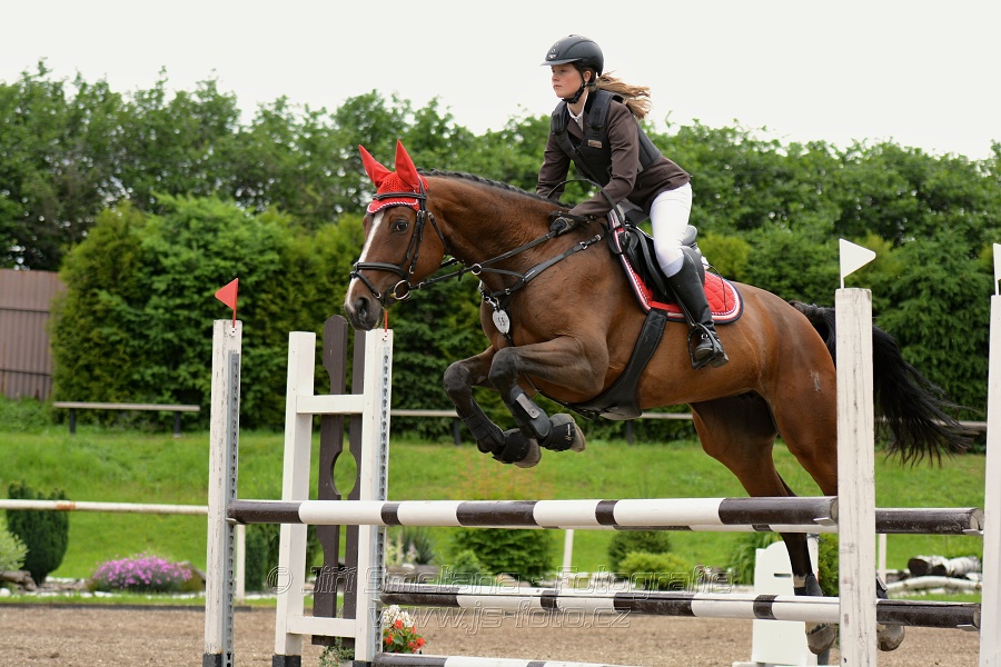 Skoková soutěž stupně „ZL“ , otevřená soutěž