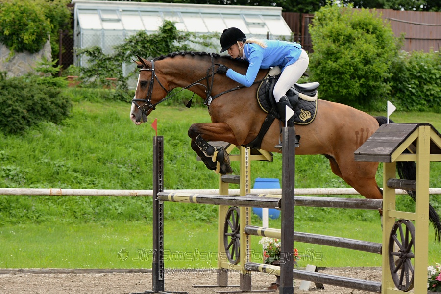 Skoková soutěž stupně „ZL“ , otevřená soutěž
