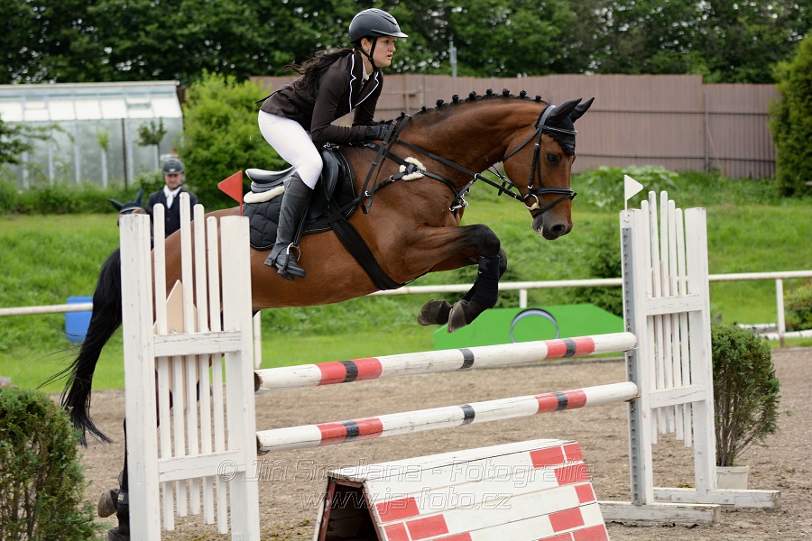 Skoková soutěž stupně „ZL“ , otevřená soutěž