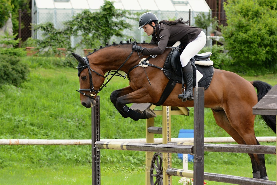 Skoková soutěž stupně „ZL“ , otevřená soutěž