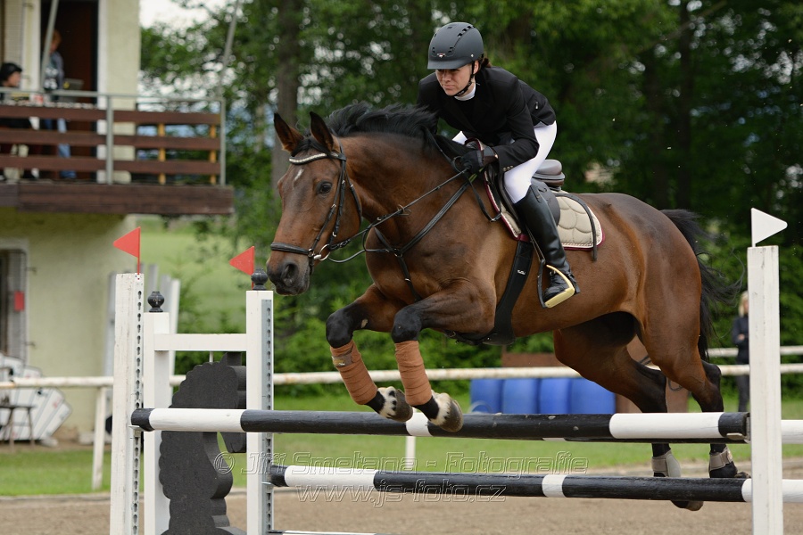 Skoková soutěž stupně „ZL“ , otevřená soutěž