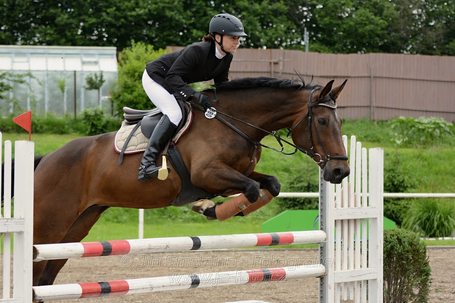 Skoková soutěž stupně „ZL“ , otevřená soutěž