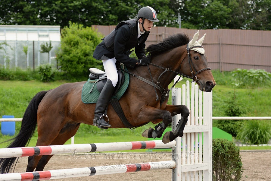 Skoková soutěž stupně „ZL“ , otevřená soutěž