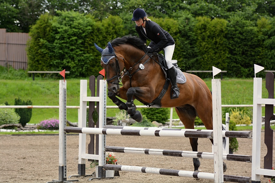 Skoková soutěž stupně „ZL“ , otevřená soutěž