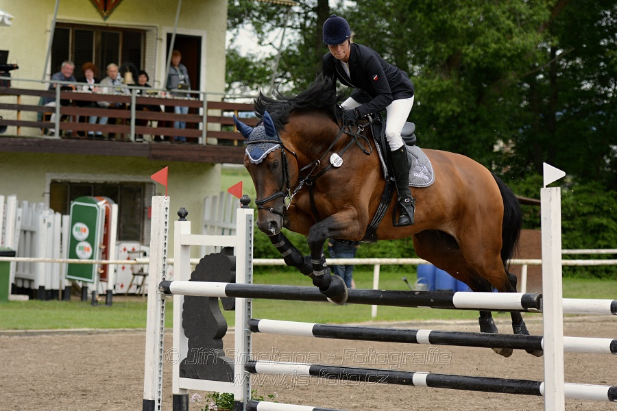 Skoková soutěž stupně „ZL“ , otevřená soutěž