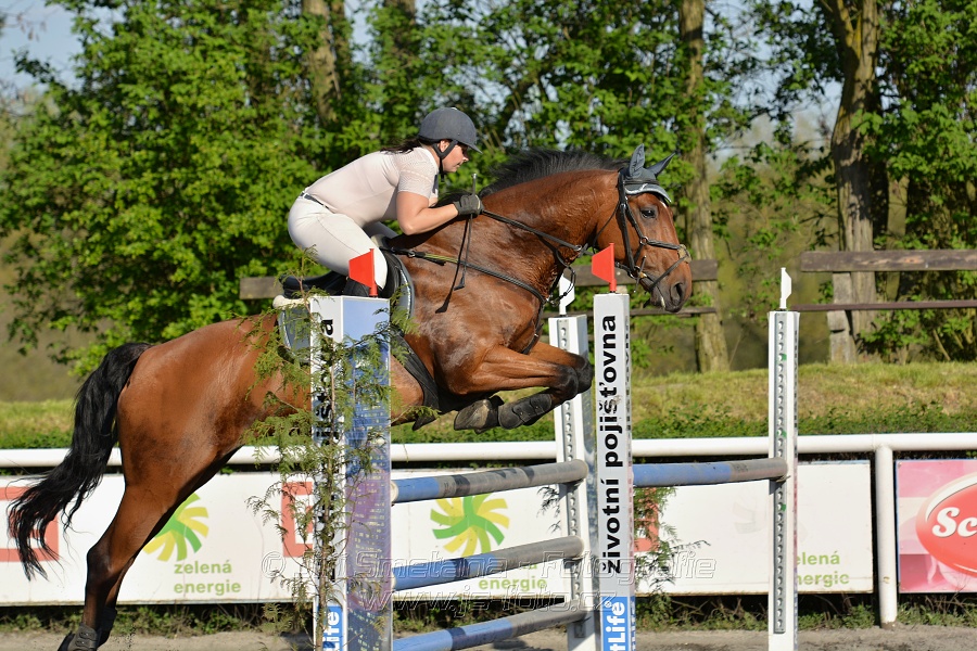 Skoková soutěž stupně 
