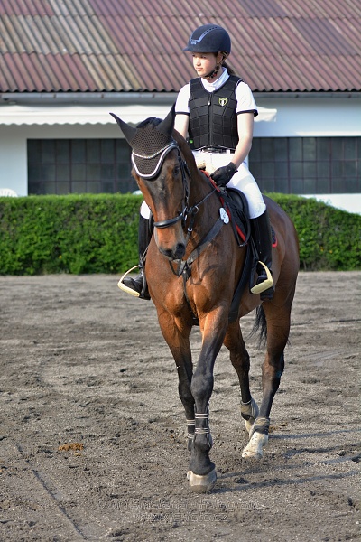 Skoková soutěž stupně 