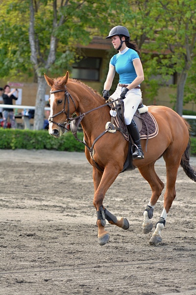 Skoková soutěž stupně 