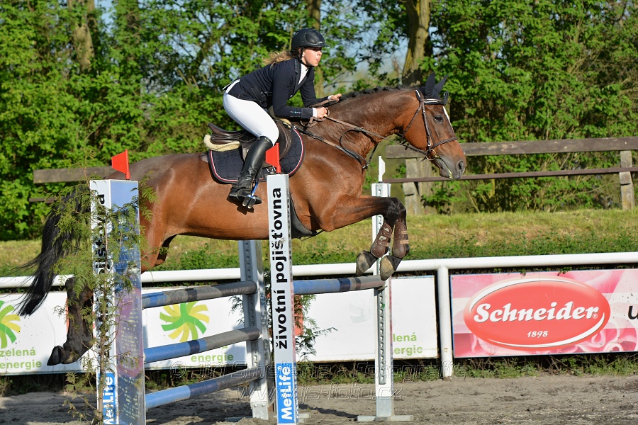 Skoková soutěž stupně 