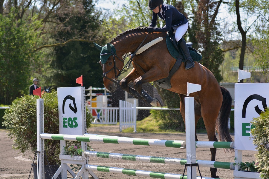 Skoková soutěž stupně 