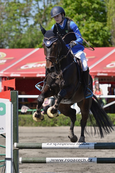 Skoková soutěž stupně 