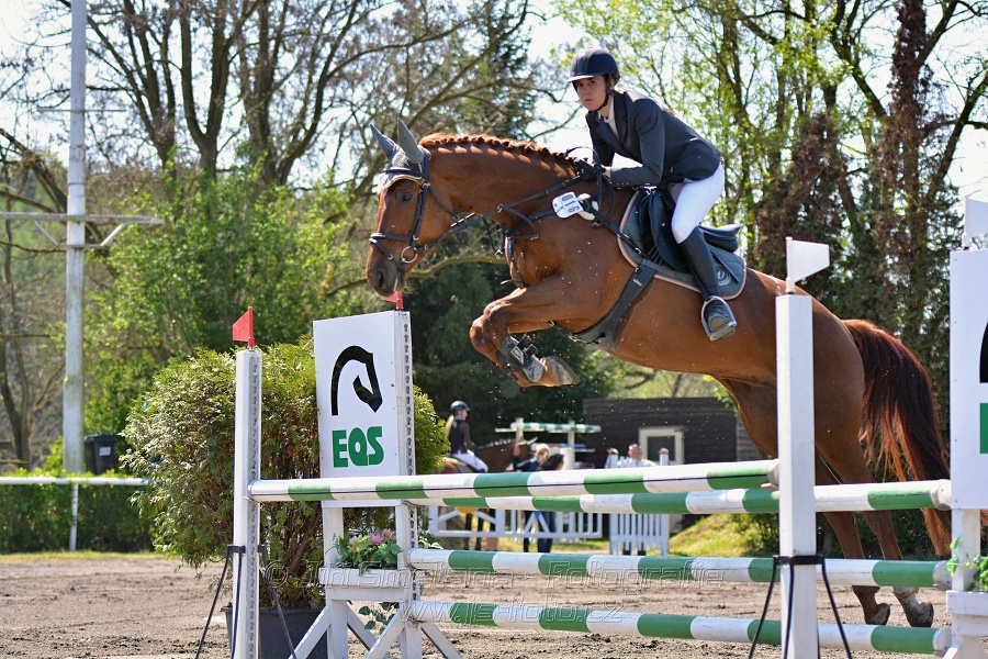 Skoková soutěž stupně 