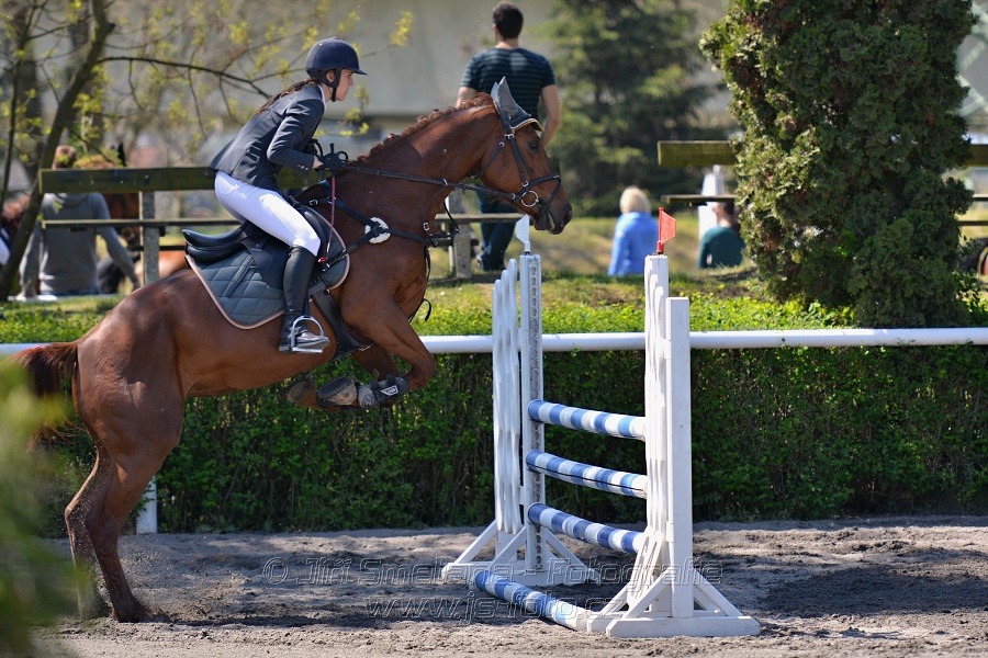 Skoková soutěž stupně 