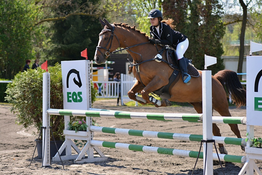 Skoková soutěž stupně 